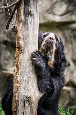 Smithsonian’s National Zoo