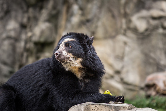 Smithsonian’s National Zoo