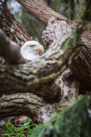 Smithsonian’s National Zoo