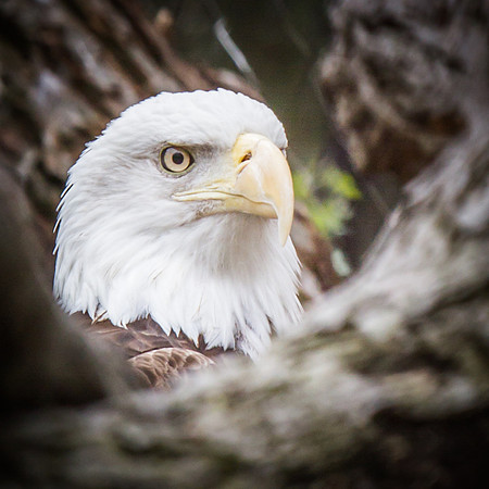 Smithsonian’s National Zoo