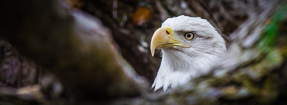 Smithsonian’s National Zoo