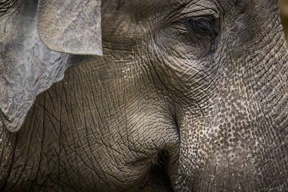 Smithsonian’s National Zoo