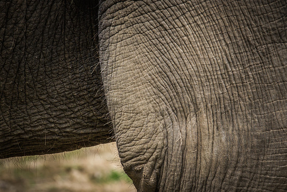 Smithsonian’s National Zoo