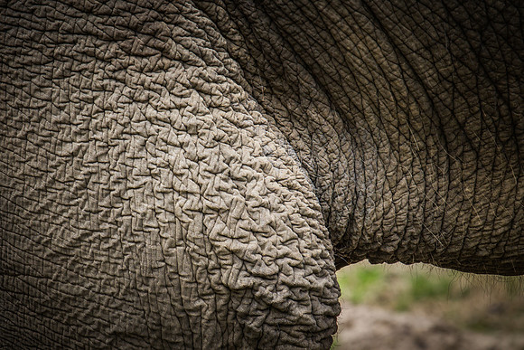 Smithsonian’s National Zoo