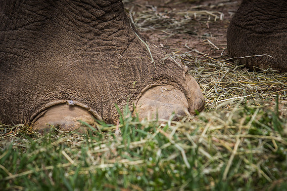 Smithsonian’s National Zoo