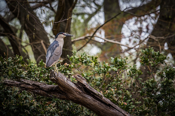 Smithsonian’s National Zoo