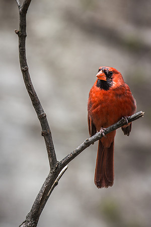 Smithsonian’s National Zoo