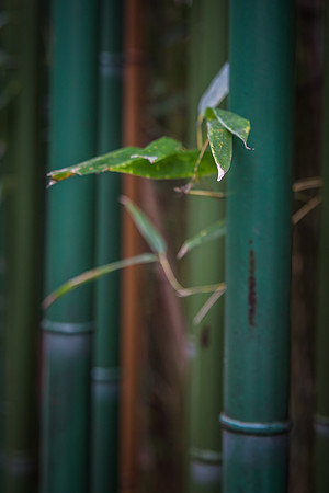 Smithsonian’s National Zoo