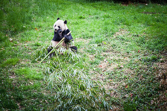 Smithsonian’s National Zoo