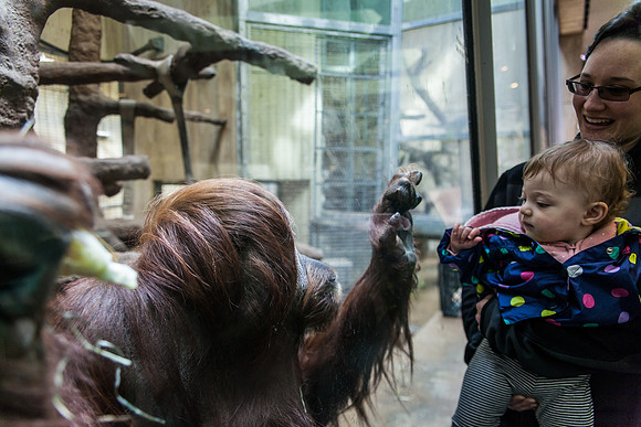 Smithsonian’s National Zoo