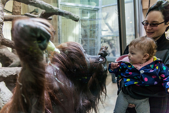 Smithsonian’s National Zoo