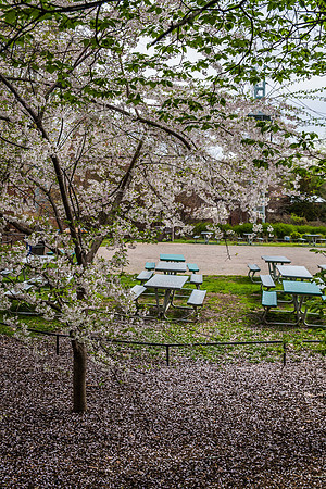 Smithsonian’s National Zoo