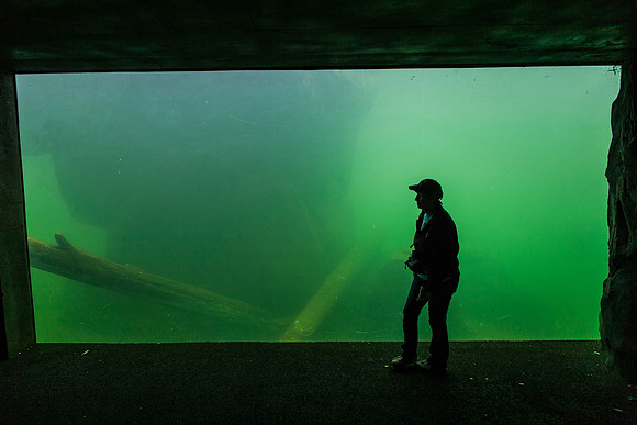 Smithsonian’s National Zoo
