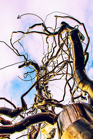 Looking up