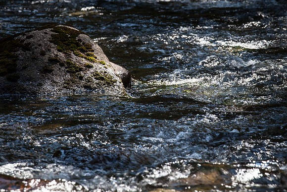 Reflections of Chalk Creek