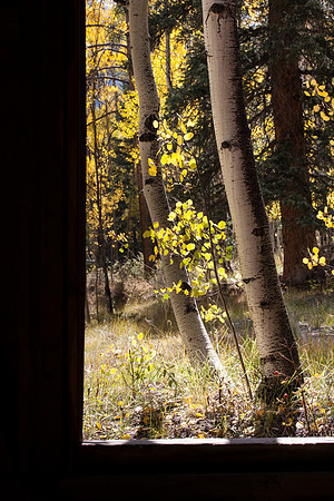 Near the old window