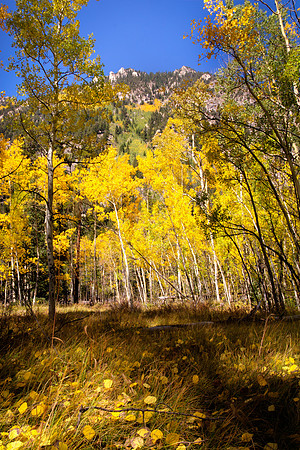 Slopes of Mount Princeton
