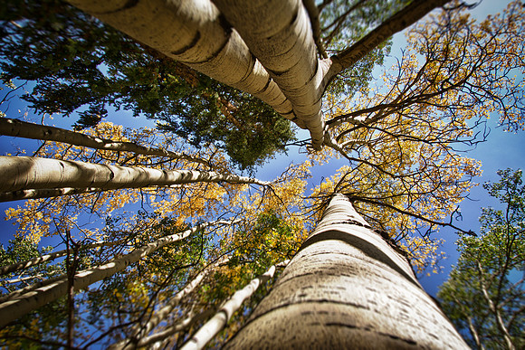Stretch to the sky 2