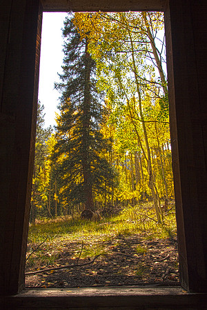 Chalk Creek Mill 2