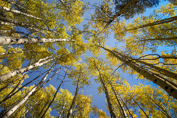 IMG_0262