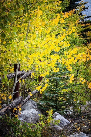 IMG_0128-2-Edit