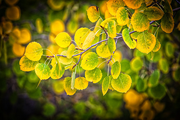 IMG_0142-2-Edit