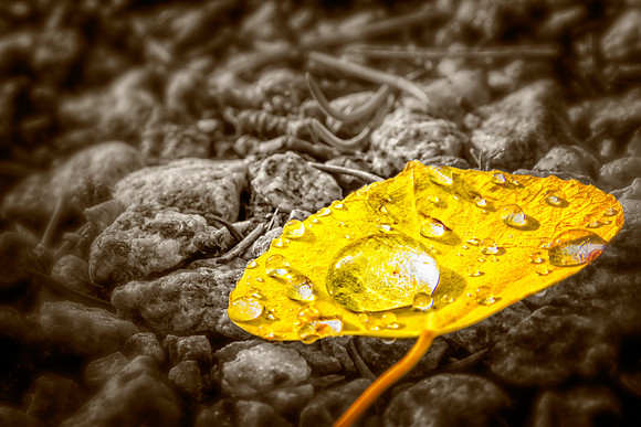 IMG_0112-Edit