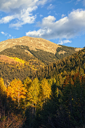 IMG_0088-Edit