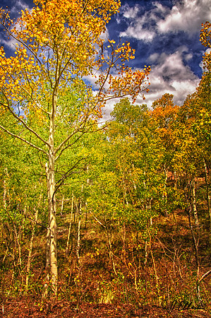 Marshall Pass 1