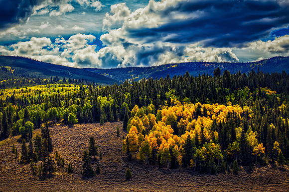 Marshall Pass 3