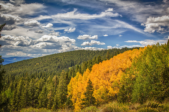 Marshall Pass 6