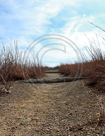 rock step hill