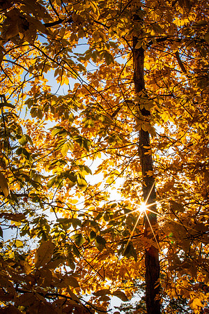 Sun in the afternoon