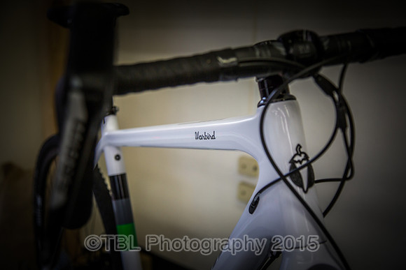 2015 DK200 Prerace