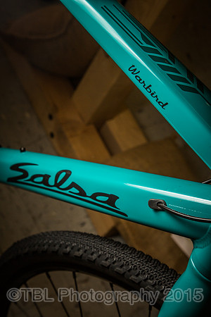 2015 DK200 Prerace