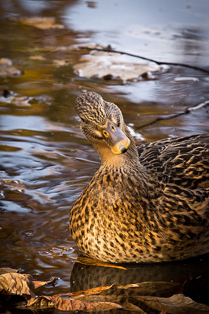 20111025 antioch park-165