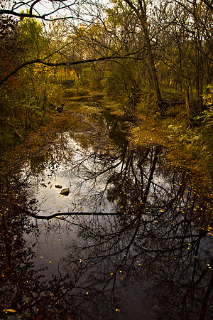 Dark Water