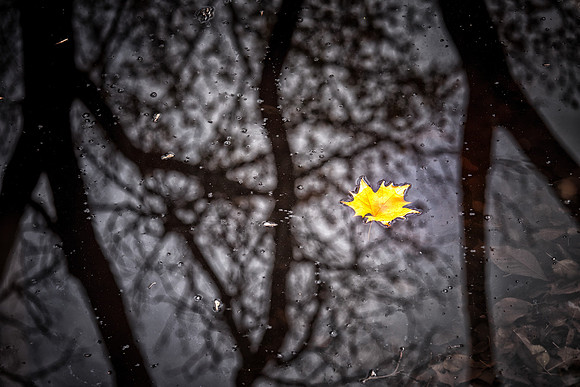 Floating Color