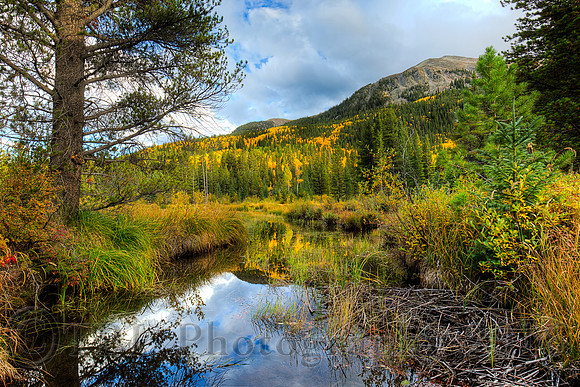Stagecoach Road Marsh 1