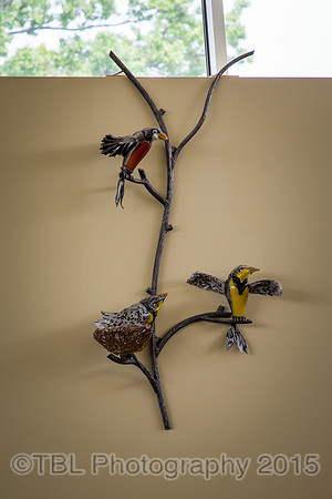 Aviary - Thomas Bloyd