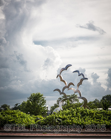 A great Place to Land - Gary Kahle
