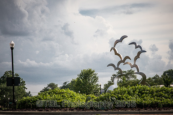 A great Place to Land - Gary Kahle