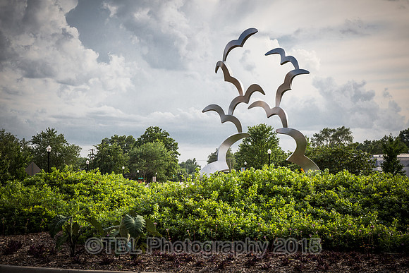 A great Place to Land - Gary Kahle