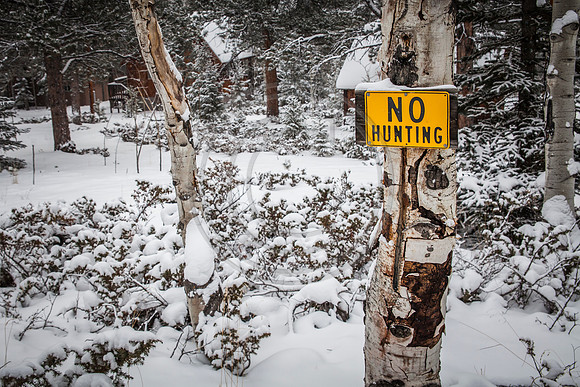 No hunting