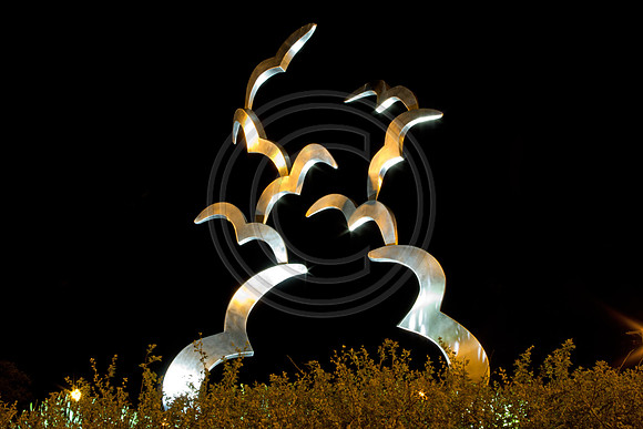 Night Birds of Overland Park