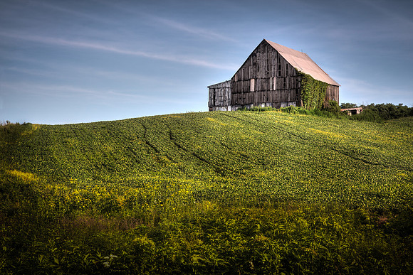 Weston Mo Barn 3