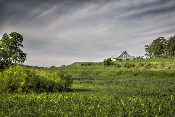 Weston Mo Barn 4