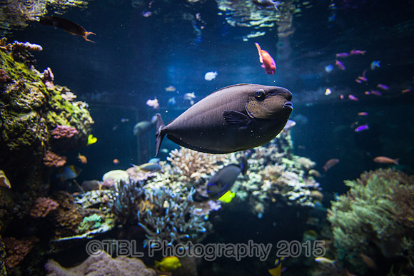 IMG_0076