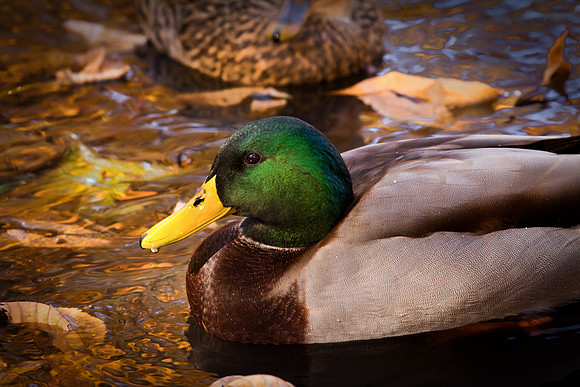 20111025 antioch park-113-104