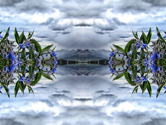 mirrored bluebells over taylor colorado 09
